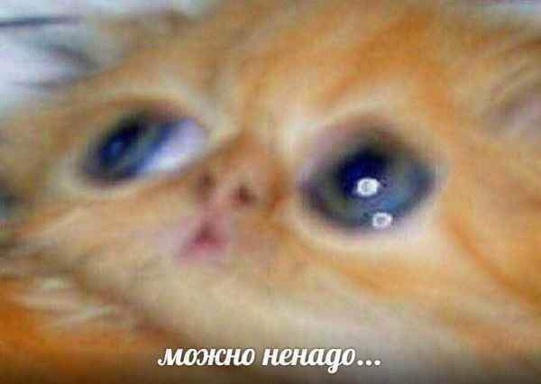 183